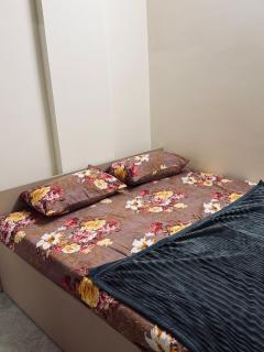 Curator crib - 5