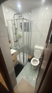 Cozy Dorobanti Boutique Apartment - 8