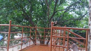 Changally Villa - 4