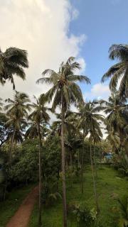 NATURE NEST By MANISH, CALANGUTE - 5