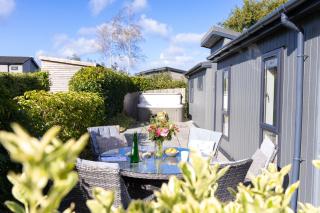 Orchid Lodge, 23 Roadford Lake Lodges - 4