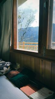 Shanay Hostel & Cafe - 7