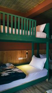 Shanay Hostel & Cafe - 6