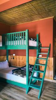 Shanay Hostel & Cafe - 5
