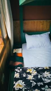 Shanay Hostel & Cafe - 2