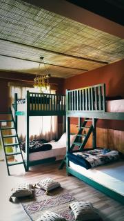 Shanay Hostel & Cafe - 1