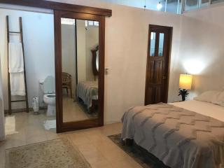 Casa Botanica - 9