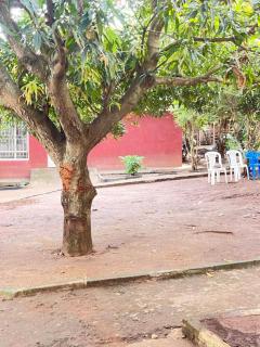 Mt Rwenzori Heritage Guest House - 9