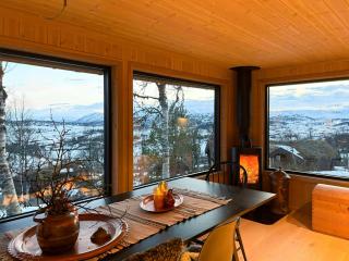 Cottage by Rauland ski trails - 3