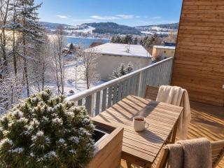Apartmán C 303 Lipno Port - 9