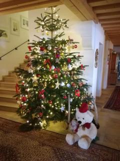 Jochum Hotel Garni - 5
