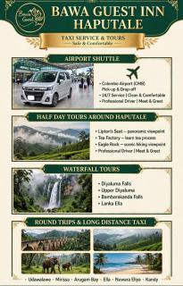 The bawa guest Inn - 7