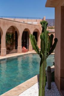 Villa DAR BOUMA - 5