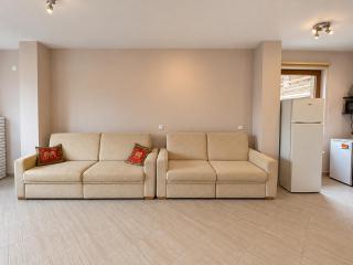 Green Life Family Mountain View Apartment - 5