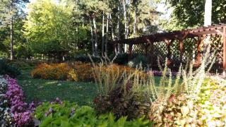 Apartments in Siofok - Balaton 35627 - 7