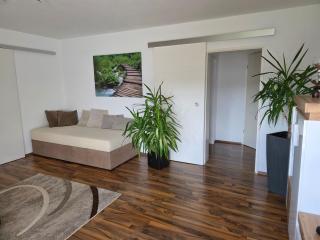 Apartment Schwarzwaldglück by Interhome - 1