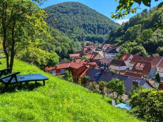 eadfcbdfd - Holiday Home Authentisches Fachwerkhaus am Rande des Waldes - 2