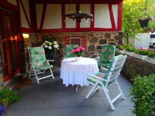 ffddaaabbfbb - Holiday Home in Bernsfeld mit großem Garten - 9