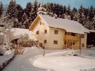 eadacadeb - Holiday Home mit Kaminofen- Fitnessraum und Sauna - 9