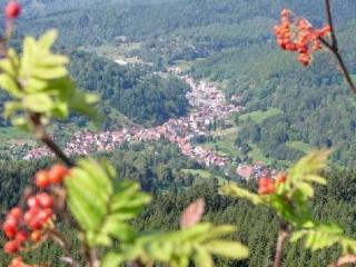 eebeebbaaaeefe - Apartment mit Terrasse - 5