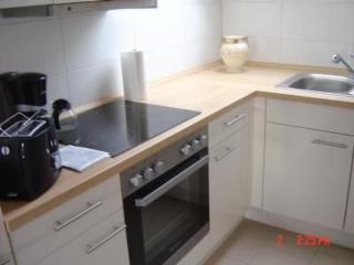 afbfedafaffc - Apartment direkt am Rhein - 9