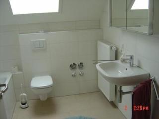 afbfedafaffc - Apartment direkt am Rhein - 2