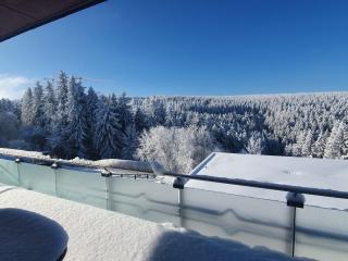 fcfedabdbaced - Apartment Wohnung in Oberhof - 7
