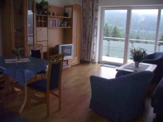 fcfedabdbaced - Apartment Wohnung in Oberhof - 5