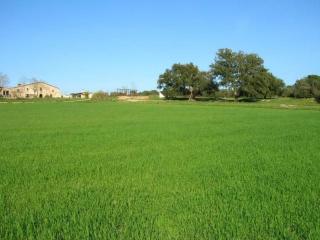 bcbacdfbfff - Holiday Home Bauernhaus im Naturpark Gavarres - 8
