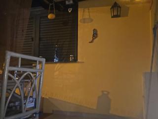dedcfbaedacaea - Holiday Home Casa Zimbo - 6