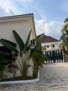 The lush villa - 0