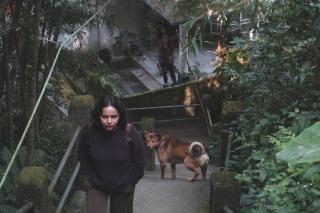 Tag Along 2 0 Hostel Gangtok - 7