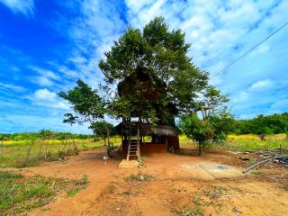 The Secret Chalet at Chena - 4