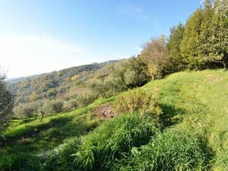baaeacfbbeab - Holiday Home La Cipressa - 6