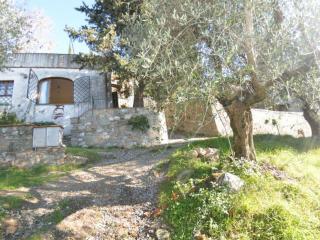 baaeacfbbeab - Holiday Home La Cipressa - 3