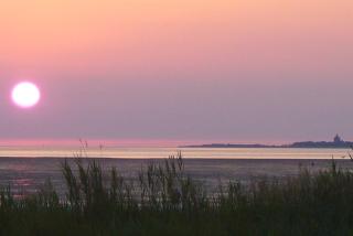 Strandnahe-Ferienwohnung-Nordsee-Oase-Whg-1 - 8
