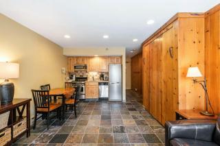 Mountain Village Studio #225 - 4