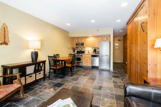 Mountain Village Studio #225 - 1
