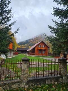 Cabana Gabriela-Tarcau - 8