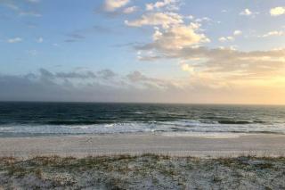 Sand Dollar W202 - 6
