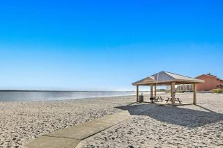 Sand Dollar W202 - 4