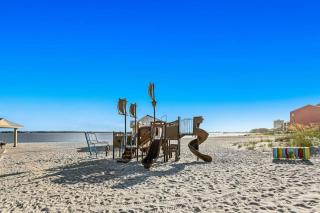 Sand Dollar W202 - 7