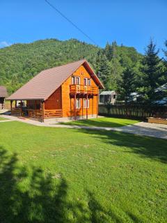 Cabana Gabriela-Tarcau - 5