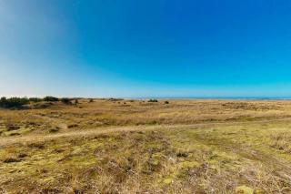 Frannie's Beachfront - 7