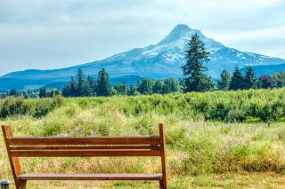 Mount Hood Vista - 6