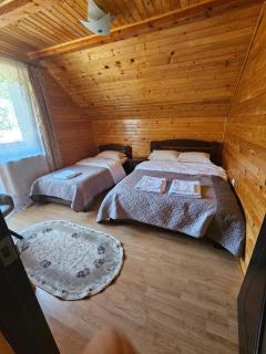 Cabana Gabriela-Tarcau - 2