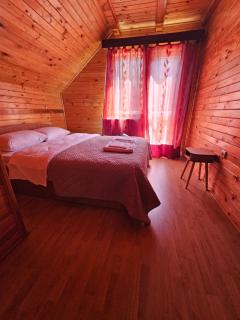 Cabana Gabriela-Tarcau - 1
