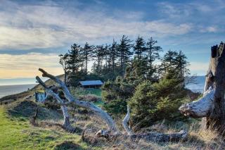 Hidden Villa Cottage #2 - The Shell Cottage - 5