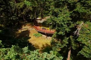 The Island Treehouse - Eastsound - 5