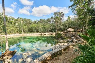 Villa Tortuga lux 4 Bdr Big garden*Pool *Cenote - 6